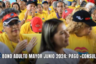 BONO ADULTO MAYOR JUNIO 2024: PAGO +CONSULTA