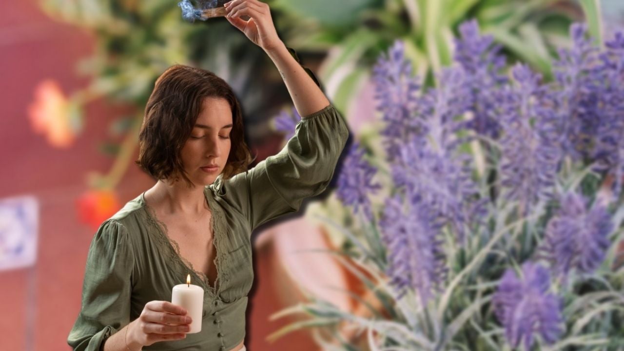 El MEJOR ritual con lavanda para limpiar las malas energías de tu hogar