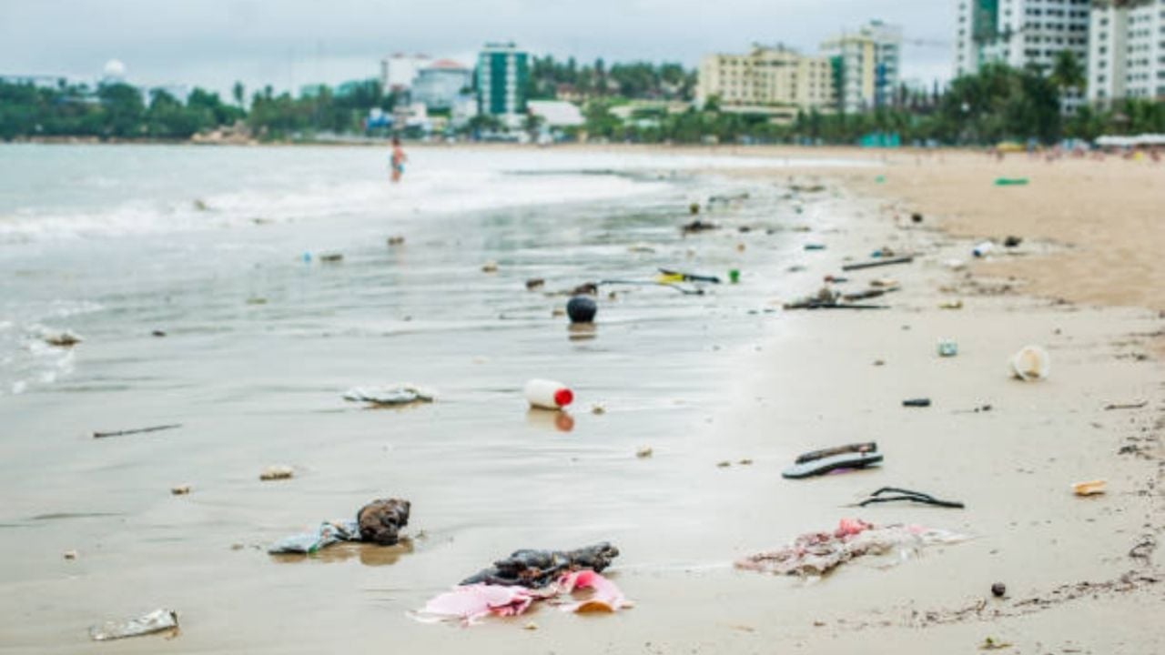 Esto pasa si te metes a nadar a una playa sucia, según Cofepris