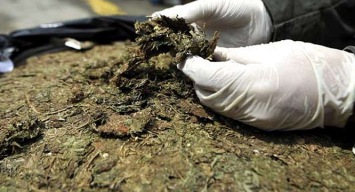 Una pareja fue condenada por tráfico de marihuana en Zulia