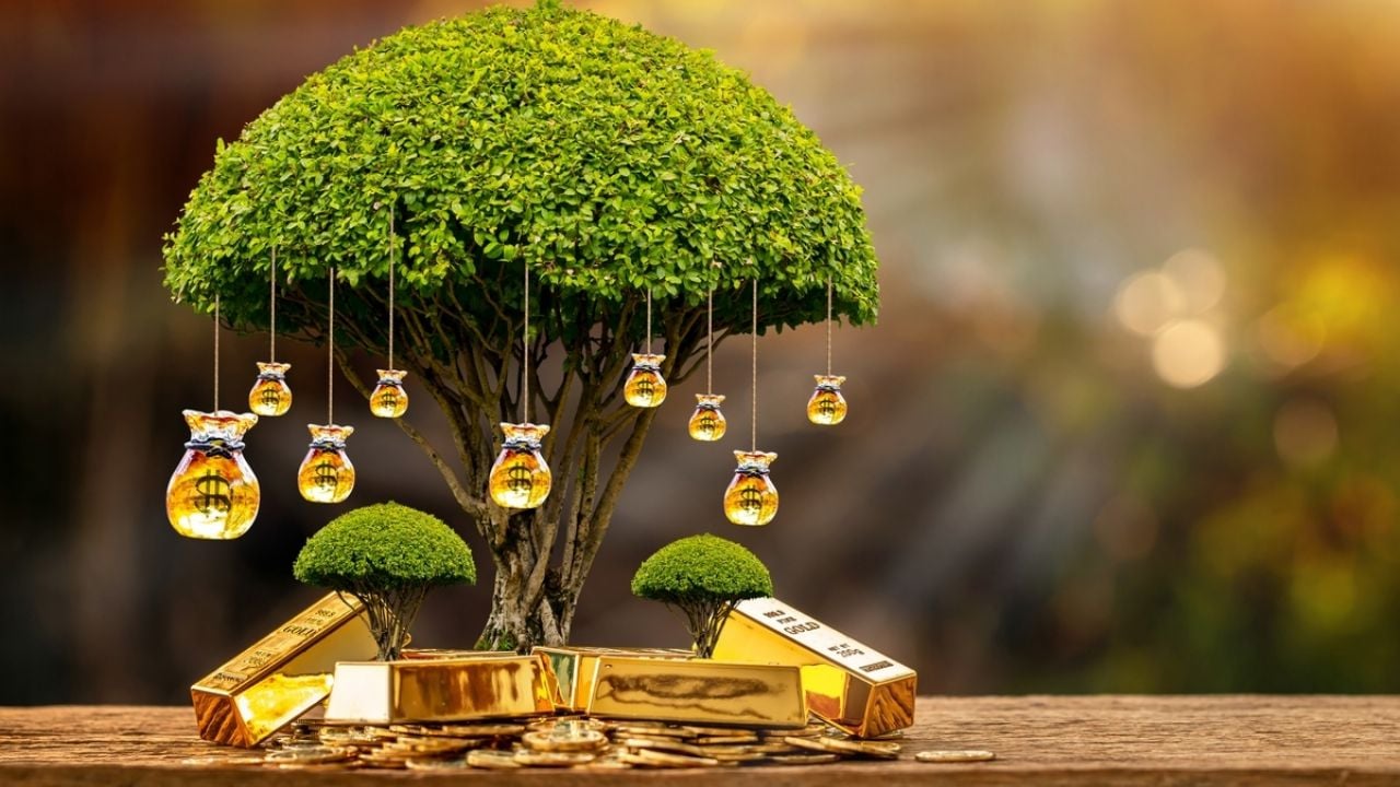 La planta que reemplaza al árbol de jade para atraer riqueza y prosperidad a tu hogar