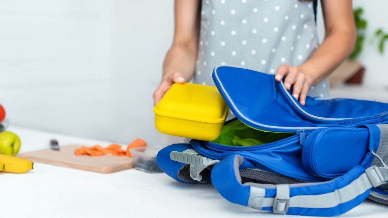 Las MEJORES mochilas y loncheras recomendadas por Profeco para regreso a clases en agosto