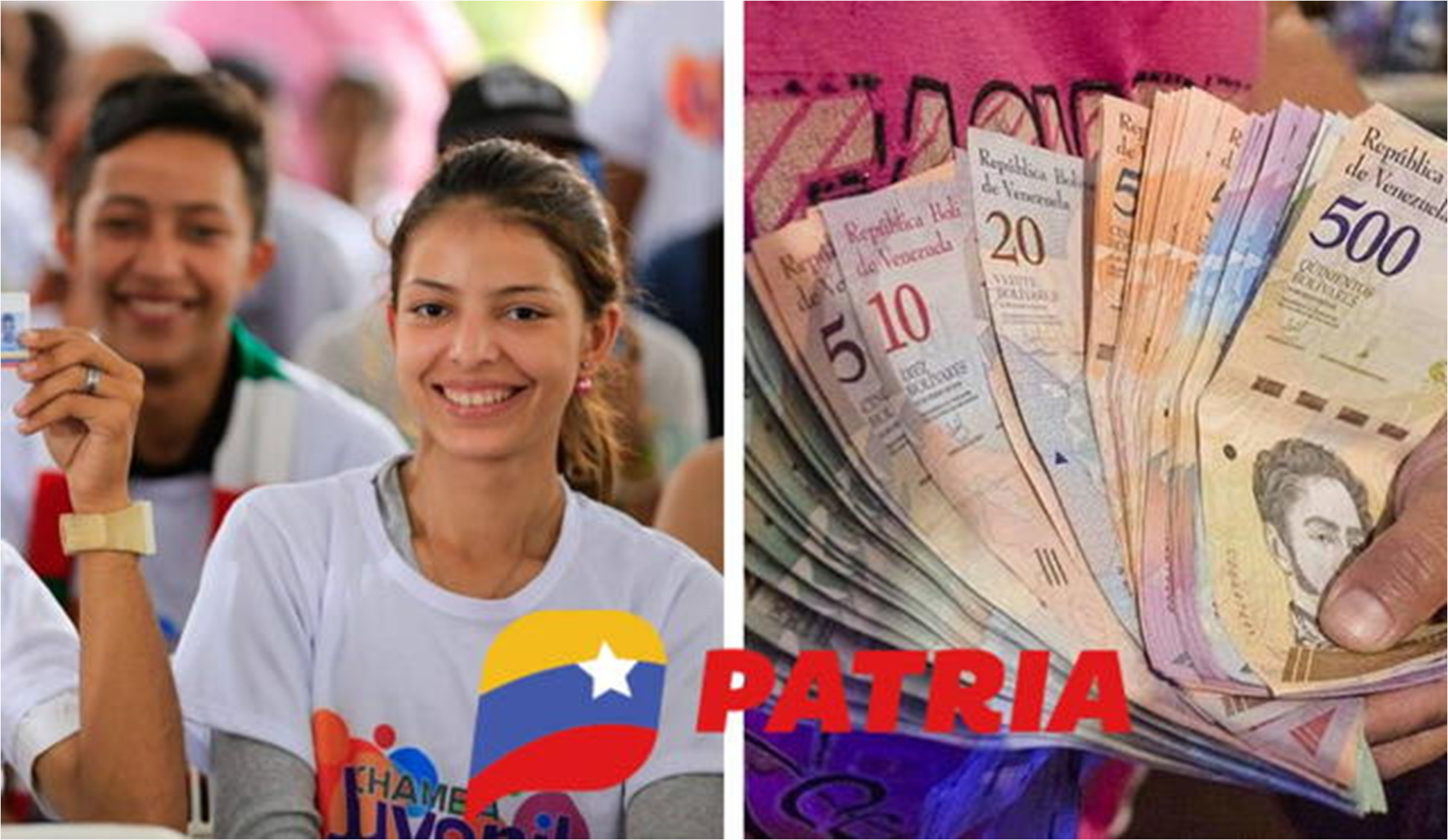 COBRA HOY 202,50Bs vía PATRIA: ¿Cómo COBRAR? ¡AQUÍ!