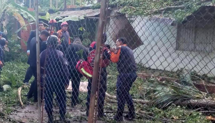 Al parecer el jovencito jugaba en el patio de una vecina con un grupo de niños, cuando se desplomó la mata.