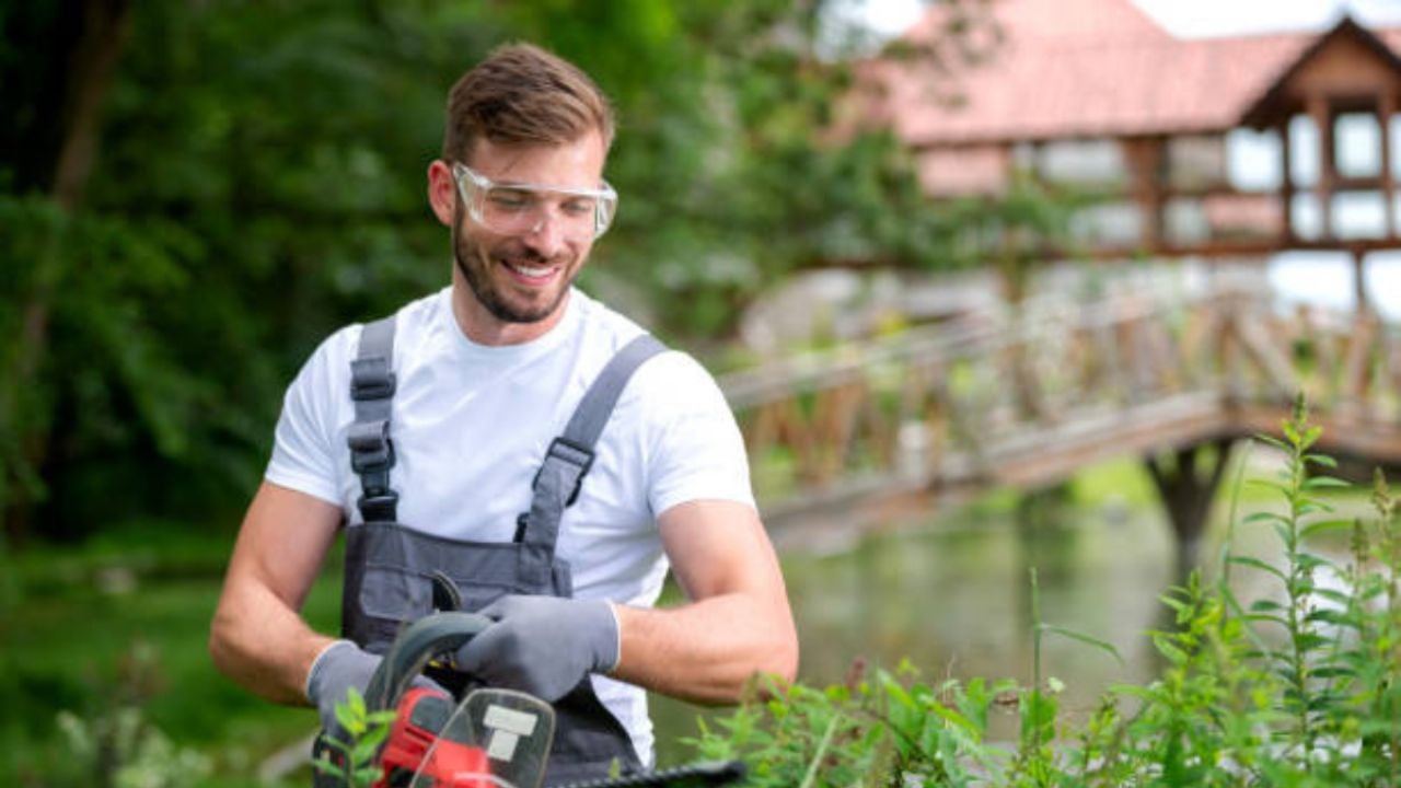 Las herramientas tecnológicas que debes tener en casa para conseguir un jardín soñado, prolijo y delicado