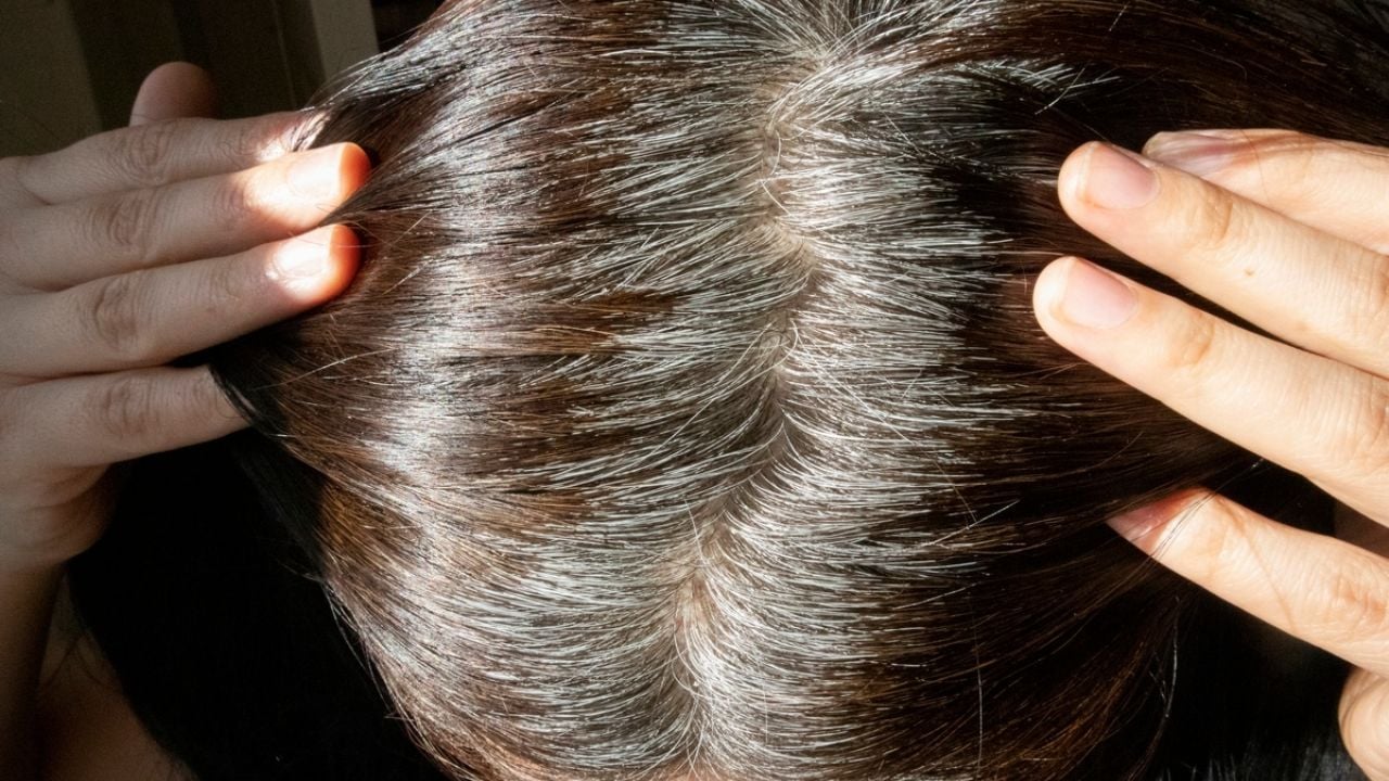 Olvídate de las canas y prepara este tinte casero con una milenaria planta medicinal