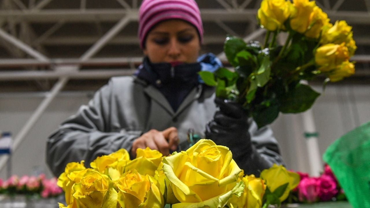 ¿Cómo podar tus flores amarillas para que luzcan hermosas durante mucho tiempo?