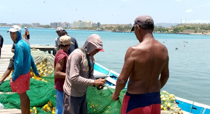 Minpesca trabaja en la ordenación pesquera de Nueva Esparta