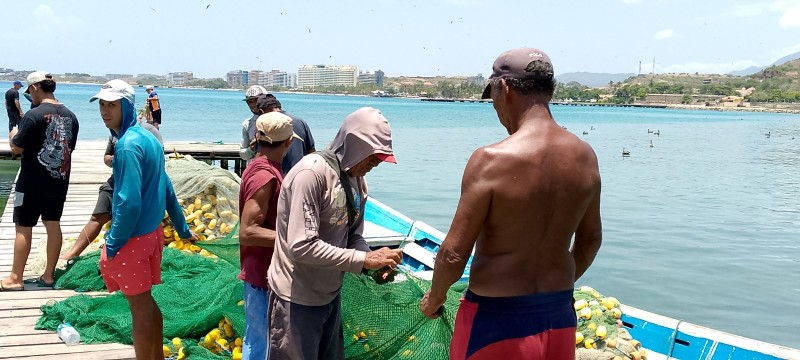 Minpesca trabaja en la ordenación pesquera de Nueva Esparta