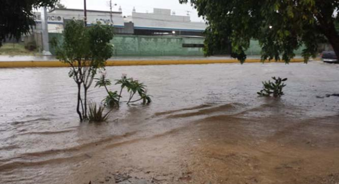 En la Urbanización San Rafael, se reportó un poste eléctrico caído por las lluvias.