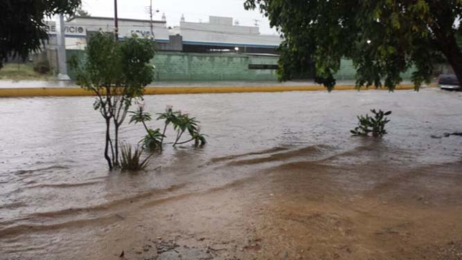 En la Urbanización San Rafael, se reportó un poste eléctrico caído por las lluvias.