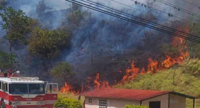 Incendios forestales consumen más de 70 hectáreas en Mérida