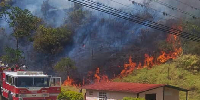 Incendios forestales consumen más de 70 hectáreas en Mérida