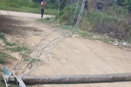 Los vecinos de la calle Madre María, en La Capilla de Nueva Esparta, están sin energía eléctrica desde ayer en la mañana por la caída de un poste. Los residentes de esta comunidad del municipio García viven atemorizados ante el inminente peligro que representa este poste de alumbrado público. Esta situación pone en riesgo la seguridad de los habitantes y de quienes transitan por la zona.