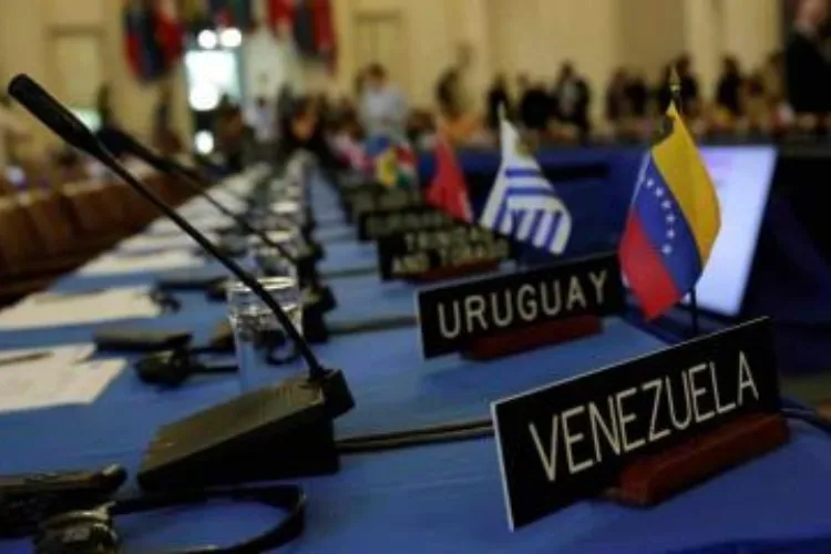 Oposición anuncia que presentará pruebas del “triunfo” en la OEA