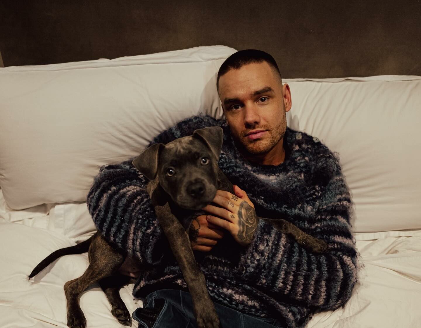 Universal había despedido a Liam Payne días antes de su muerte