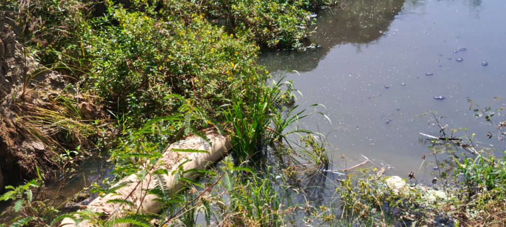 Villas de Palguarime: Roban tubería y dejan sin agua a 300 familias