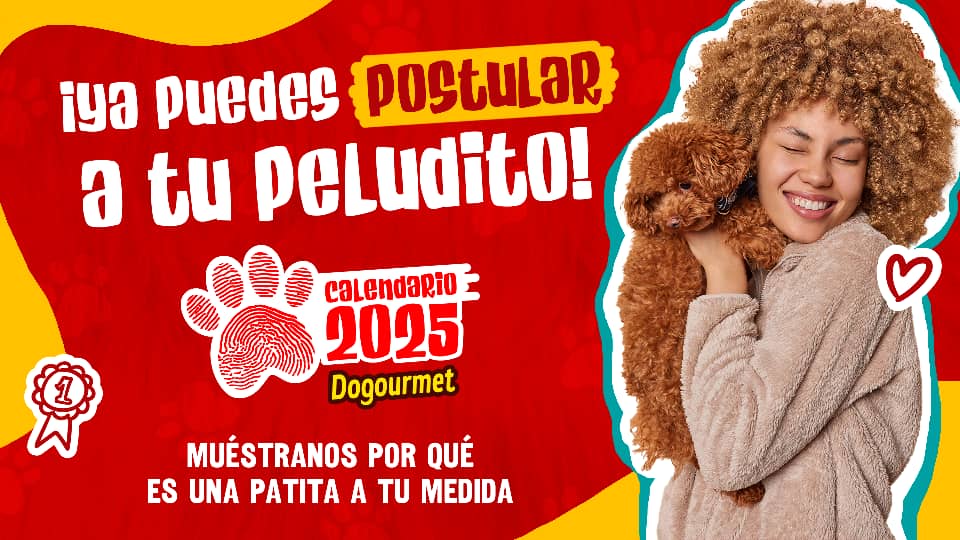 Calendario Dogourmet 2025 busca patitas a la medida