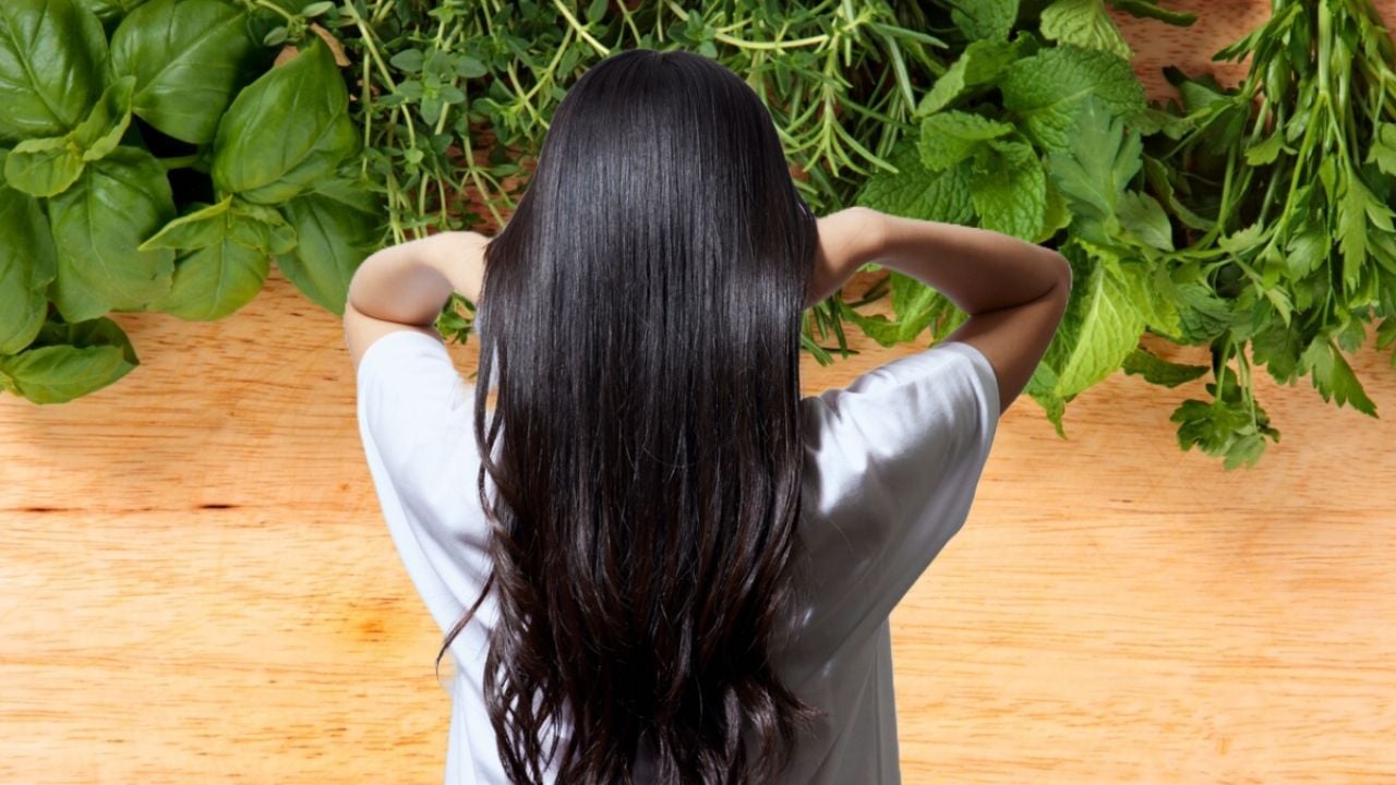 Haz crecer tu cabello en tiempo récord con estas 3 plantas que debes usar en tu shampoo