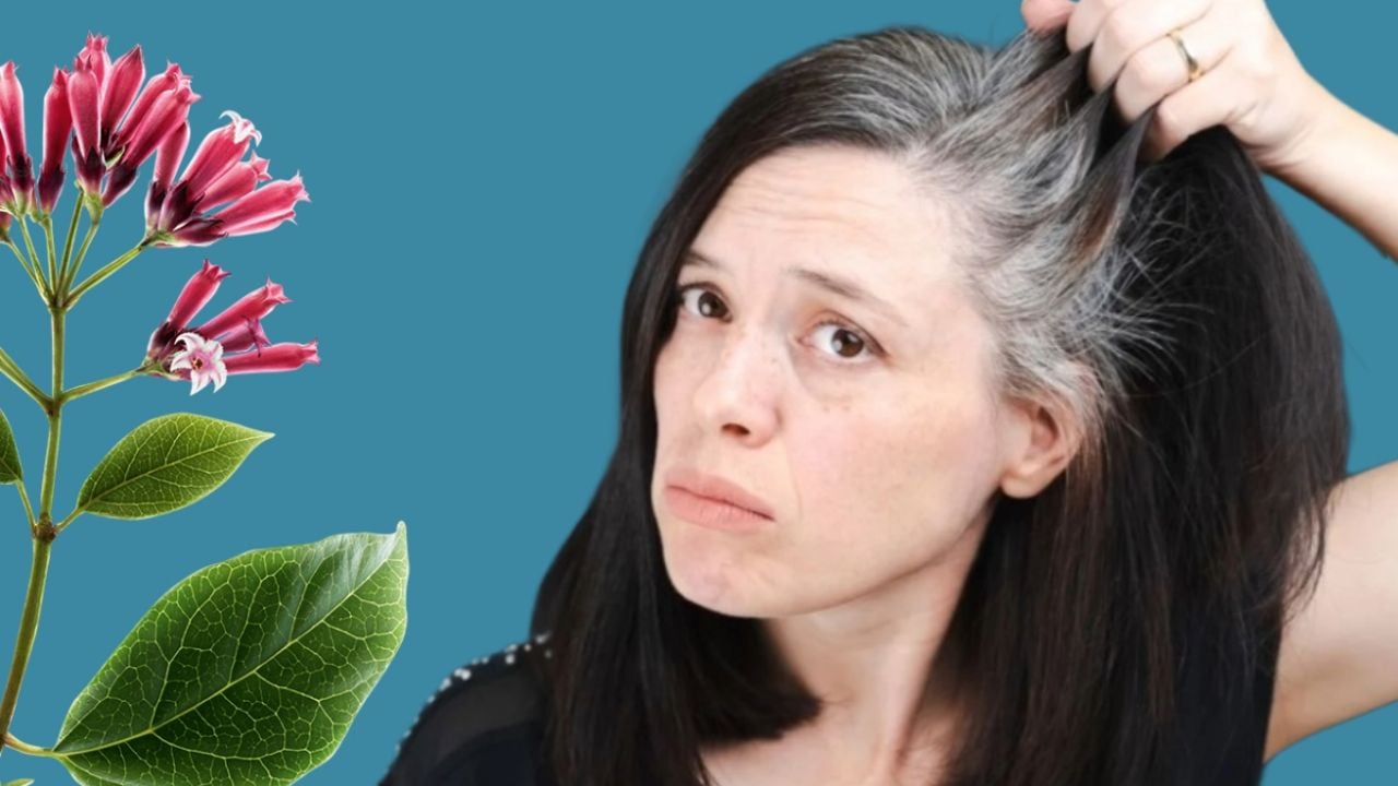 Despídete de las canas; el shampoo con tinte a base de plantas que devolverá el color a tu cabello