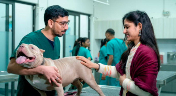 En Chile lanzan vacuna para esterilización temporal de perros