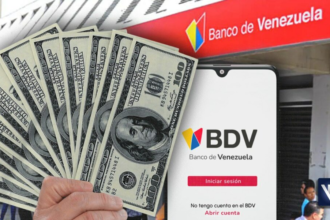 Aprende cómo comprar dólares en el Banco de Venezuela en 6 sencillos pasos