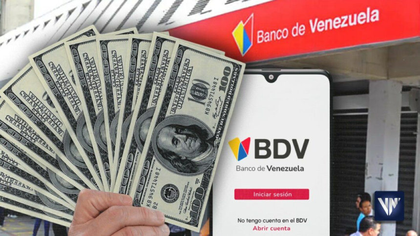 Aprende cómo comprar dólares en el Banco de Venezuela en 6 sencillos pasos