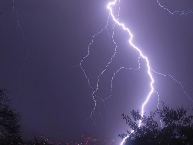 Este fenómeno coincide con el periodo de lluvias en Venezuela.