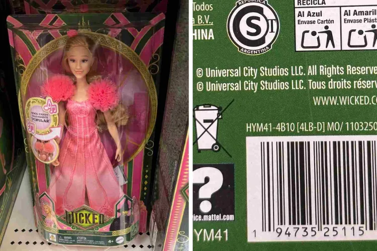 Mattel incluyó “por error” enlace a sitio para adultos en los empaques de Barbie Wicked – Noticias Todos Ahora