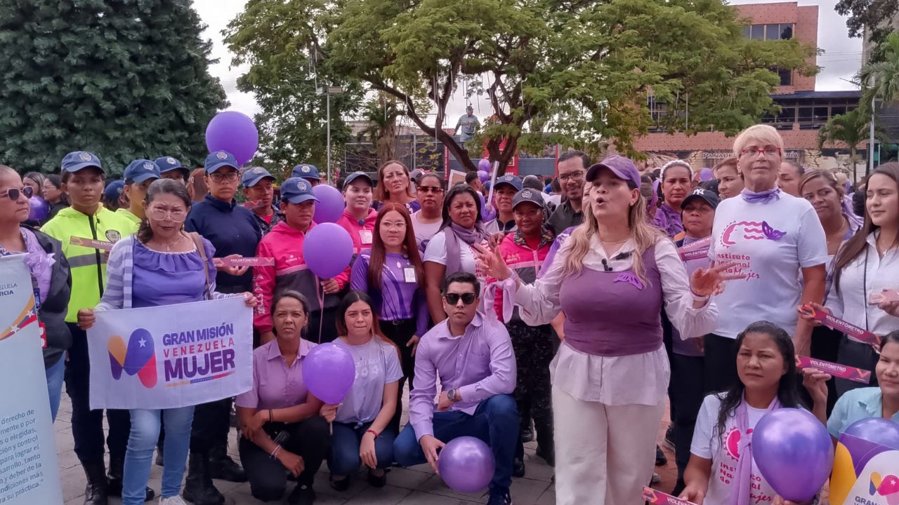 Día Internacional de la eliminación de la violencia contra la mujer