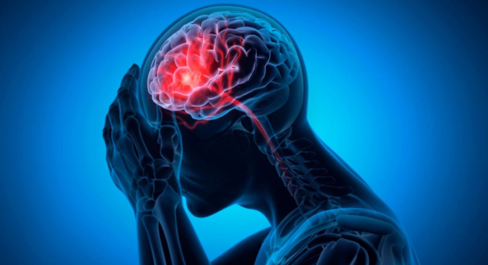 La semilla que evita derrames cerebrales, elimina coágulos sanguíneos y evita la trombosis