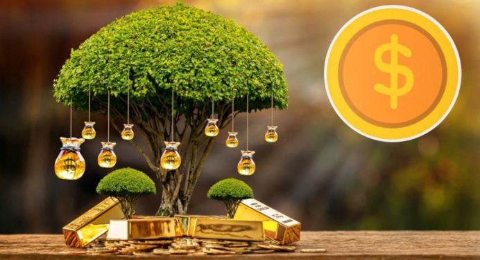 Con solo 3 monedas; cómo activar el árbol de jade para atraer prosperidad y riqueza a tu vida
