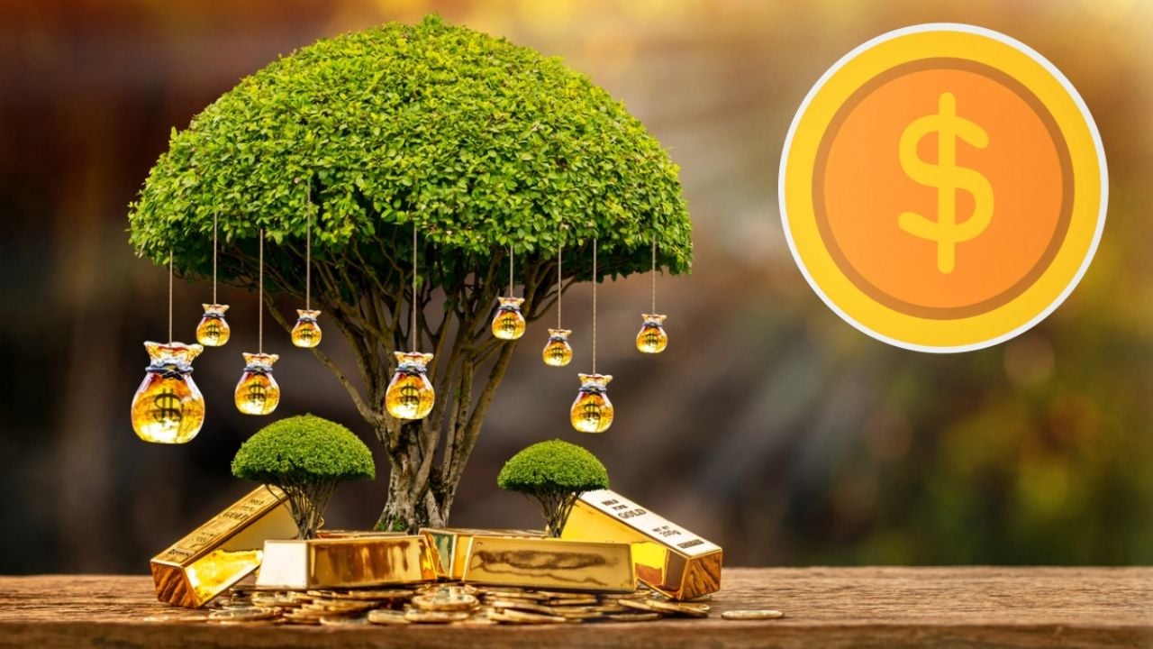 Con solo 3 monedas; cómo activar el árbol de jade para atraer prosperidad y riqueza a tu vida