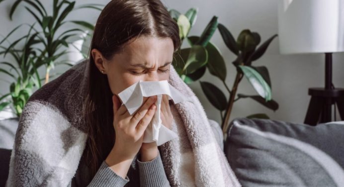 La planta que oculta un tesoro medicinal para aliviar la gripe y dolores de reumas en época de frío