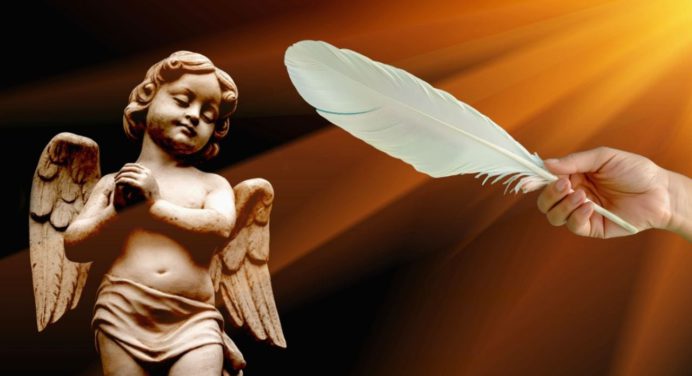 ¿Qué significa encontrar plumas blancas en tu casa? Conoce el MENSAJE espiritual de tu ángel guardián