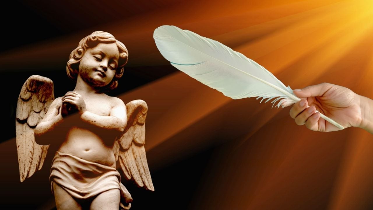 ¿Qué significa encontrar plumas blancas en tu casa? Conoce el MENSAJE espiritual de tu ángel guardián