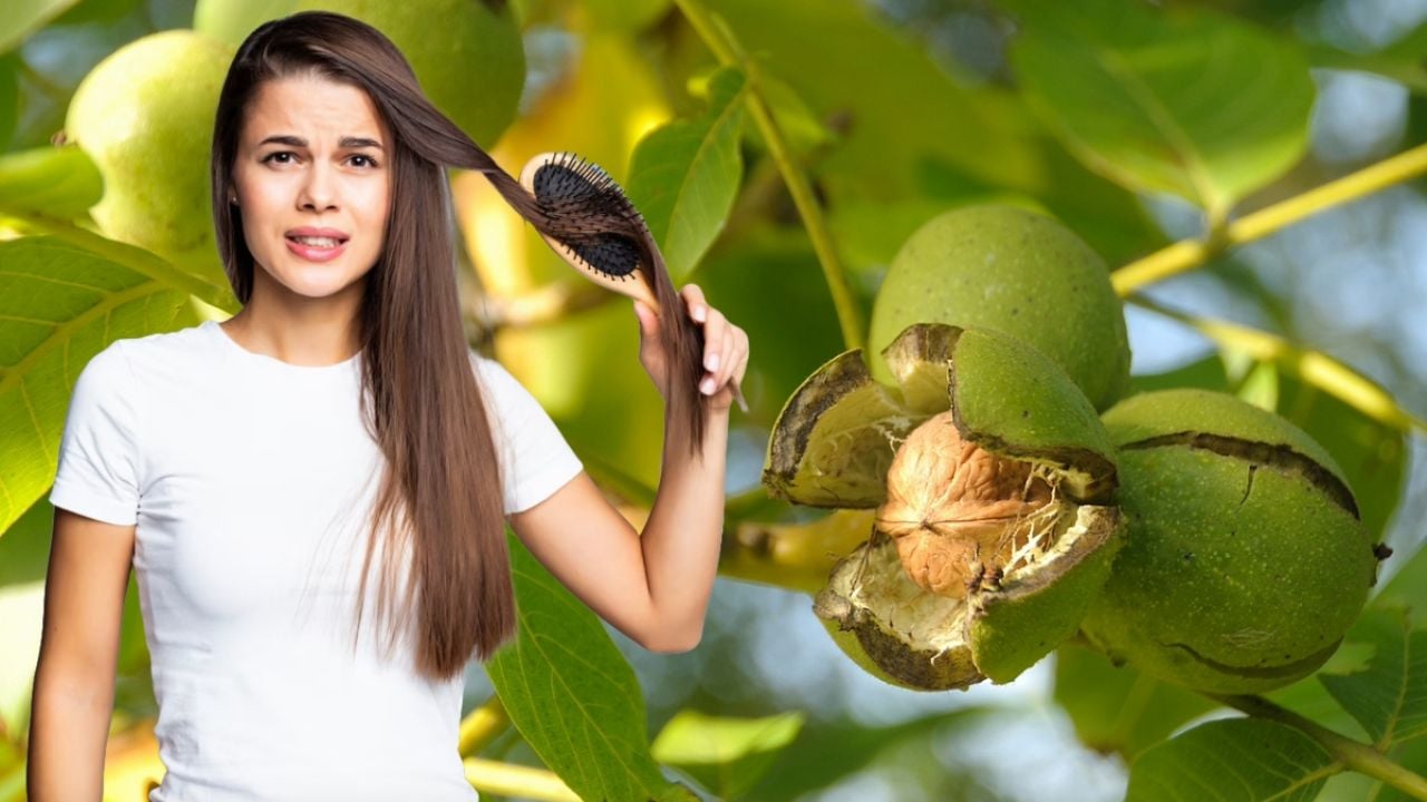 La planta medicinal que puedes sembrar en diciembre; quita el acné y detiene la caída del cabello