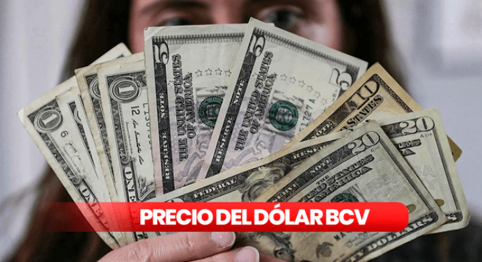 Precio del Dólar BCV y Dólar Paralelo para este 1 de noviembre en Venezuela