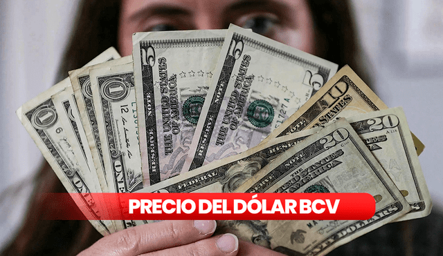 Precio del Dólar BCV y Dólar Paralelo para este 1 de noviembre en Venezuela