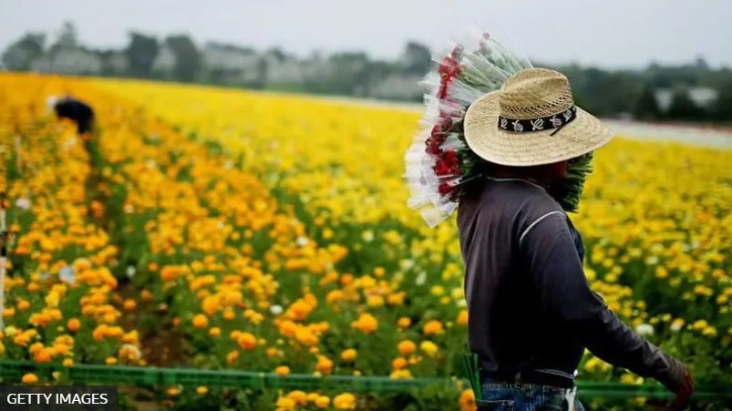 Cómo sería EE.UU. sin inmigrantes