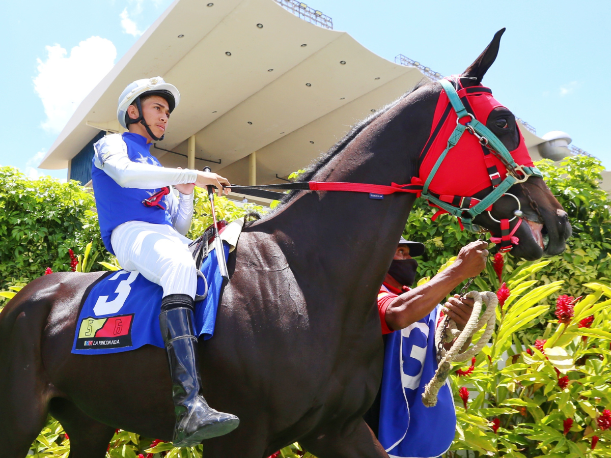 Hermixon Medina: El rey de los ganadores selectivos