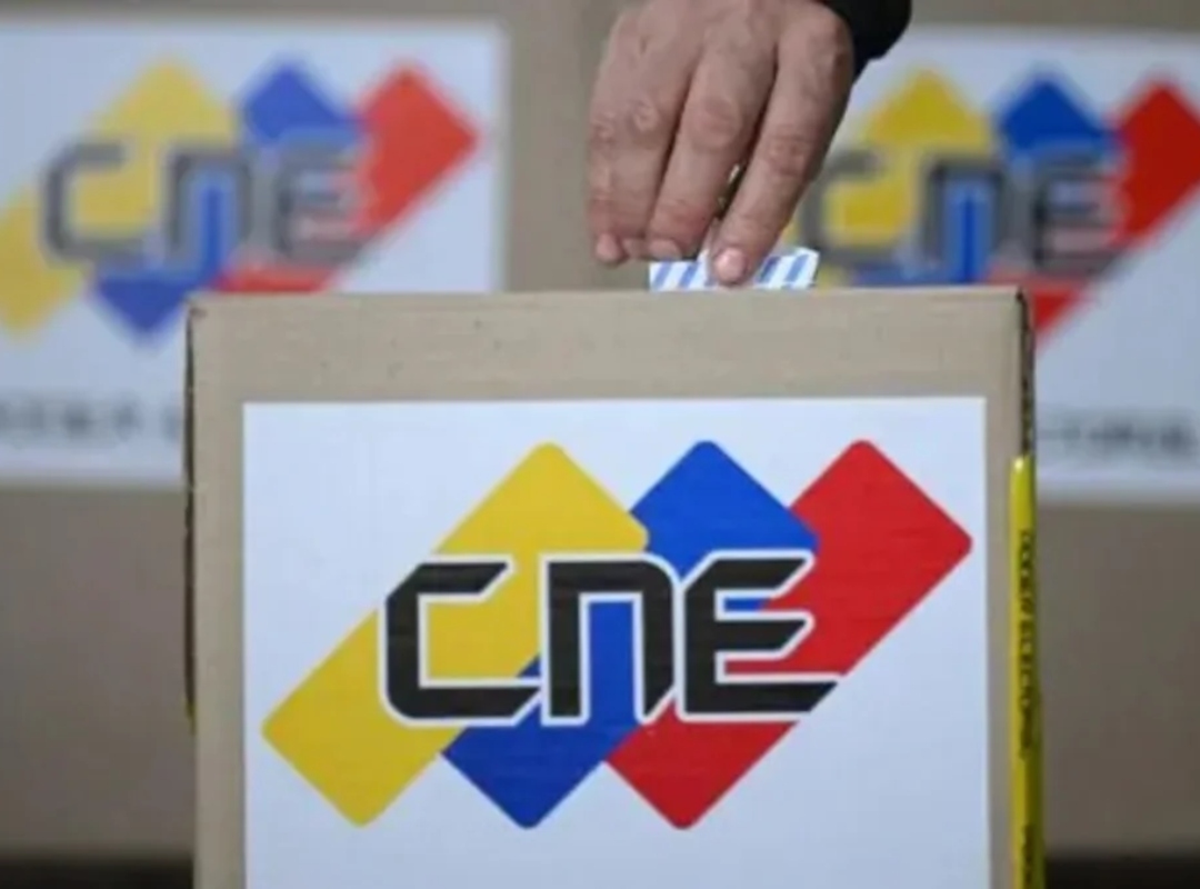 Votantes deben buscar alternativas tras caída del CNE