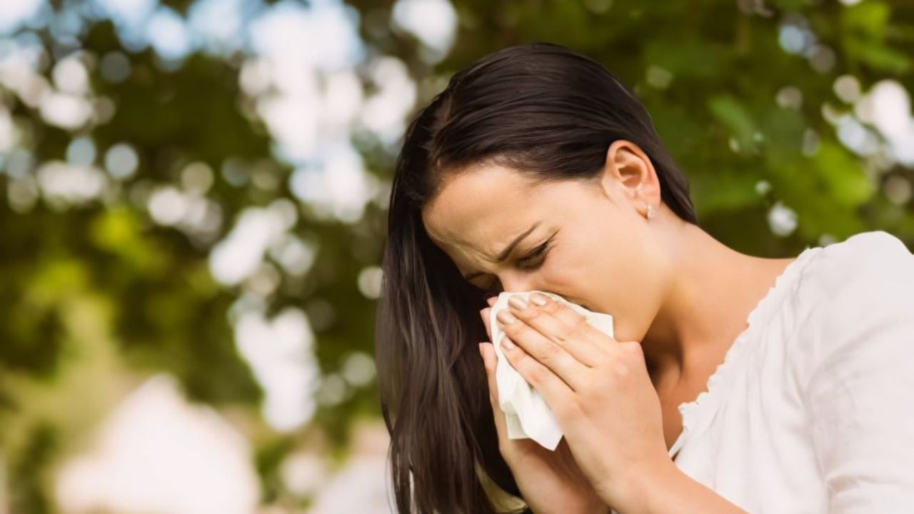 Planta medicinal resistente al frío: el remedio natural para la gripe y la irritación respiratoria