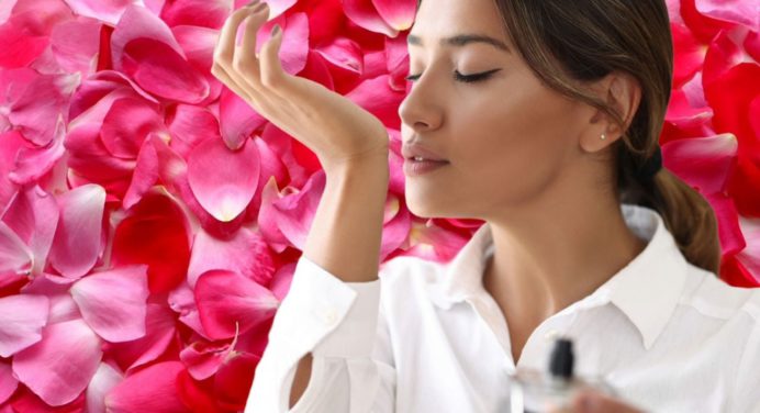 Perfume económico de rosas para un aroma fresco y duradero