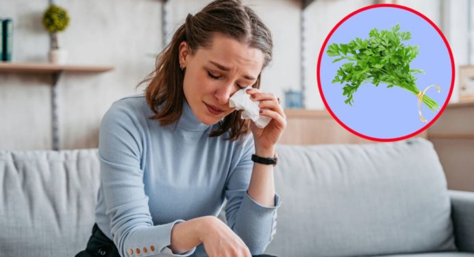 La hierba aromática que alivia la depresión y la ansiedad