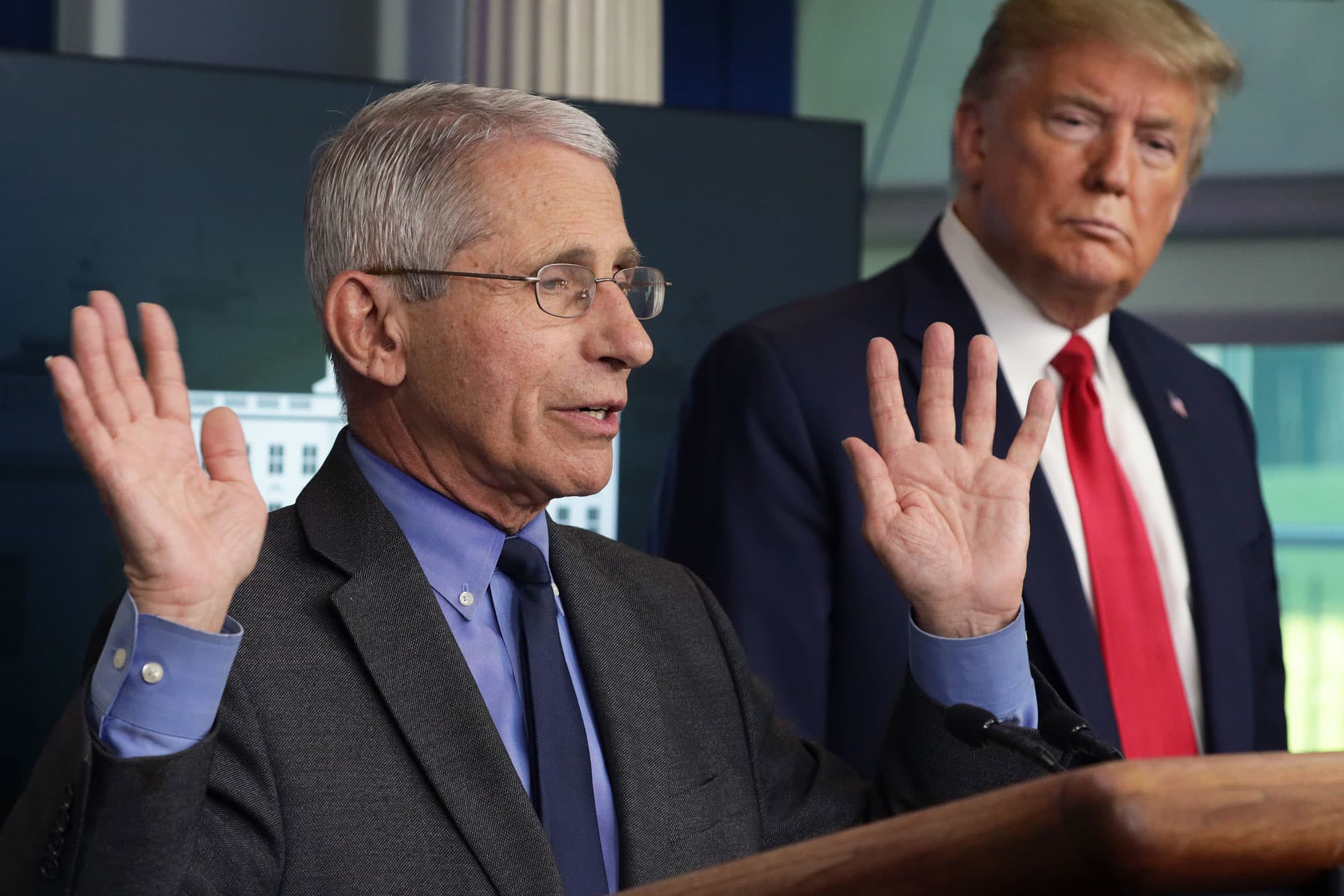 Trump retira seguridad personal a Fauci, figura clave en la pandemia: ¿Quién protegerá al experto?