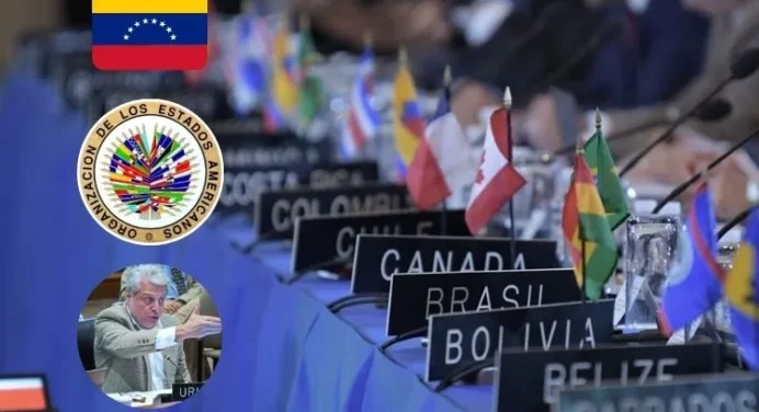 Venezuela: Discursos más virales en la OEA