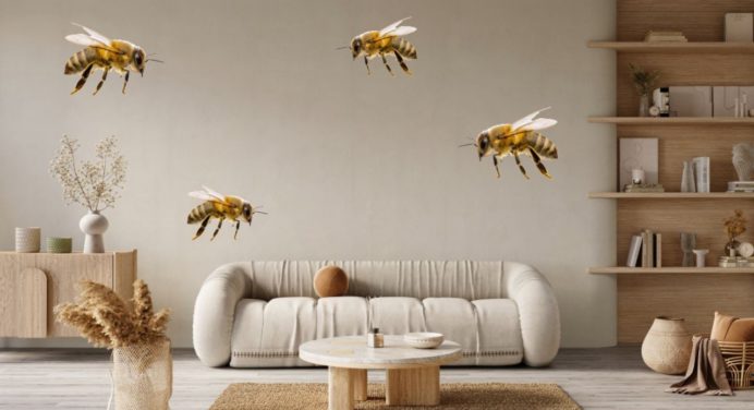 Protege tu hogar: repelente natural para alejar abejas de la puerta