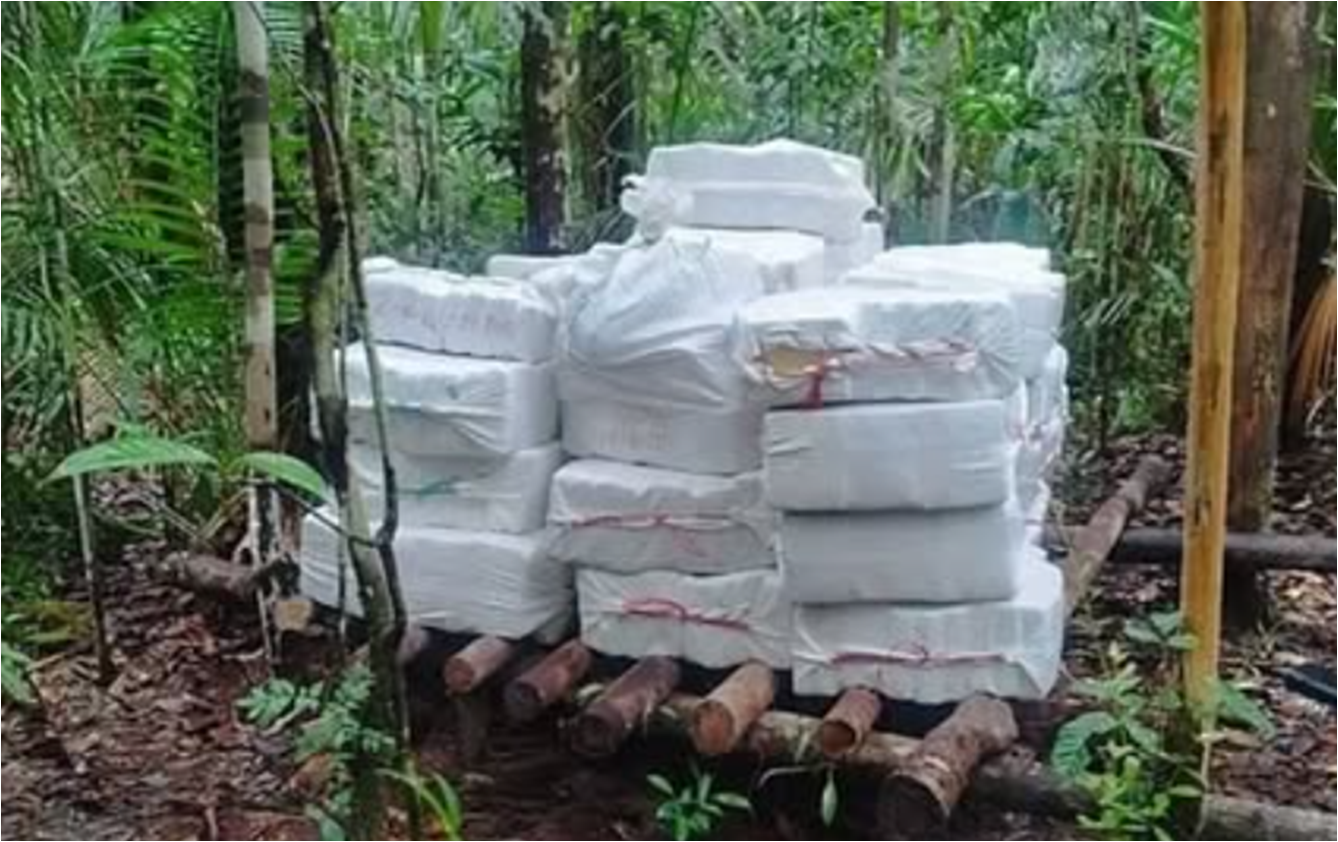 GNB Incauta 5 Toneladas de Droga en Amazonas