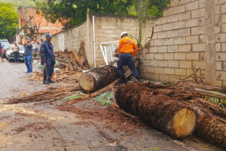 Estiman 24 horas más de lluvia